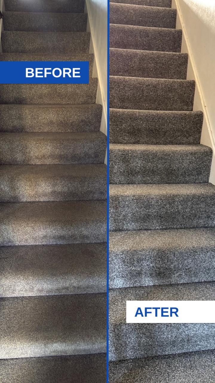 Two-seater couch after upholstery cleaning