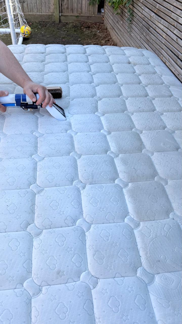 Two-seater couch after upholstery cleaning